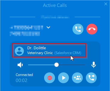 Active calls Salesforce info